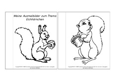 Mini-Buch-Ausmalbilder-Eichhörnchen-1-5.pdf